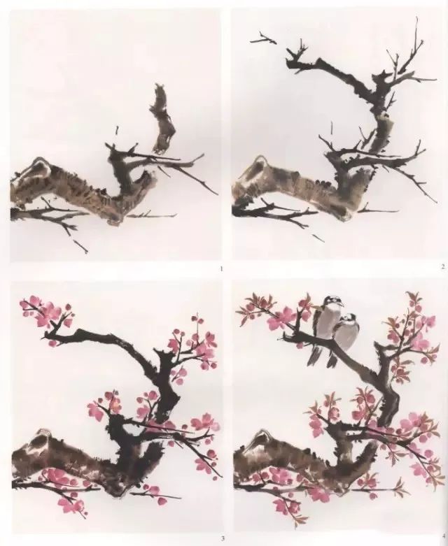 图文教程詹仁左老师小写意花鸟画法步骤