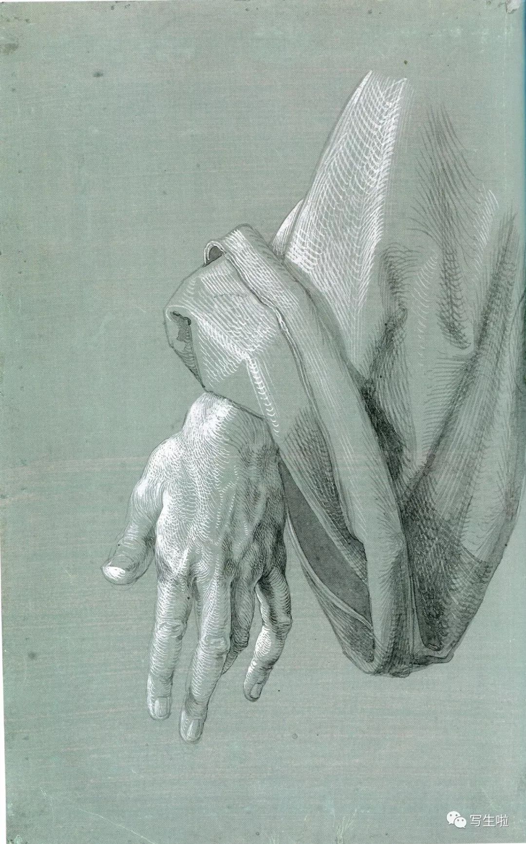 【写生啦】丢勒精品素描集_作品