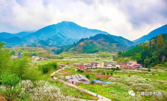 首屆樂昌市九峰鎮互聯網桃花節即將開幕