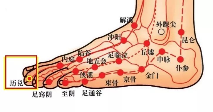 灵兰风曲67足阳明胃经厉兑穴