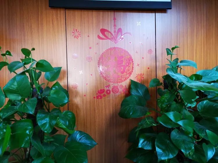 跟随一位下尿路医生的一天上海九院进修有感