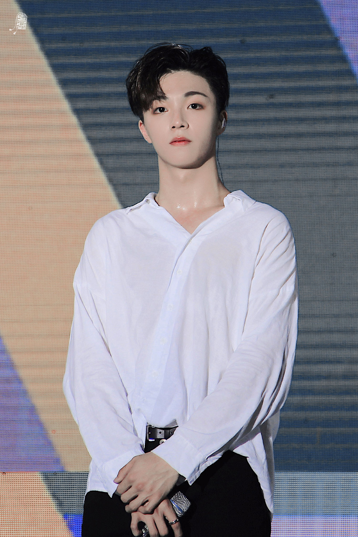 被汗浸湿似透不透的白衬衫陈立信这撩拨人心的吸引力