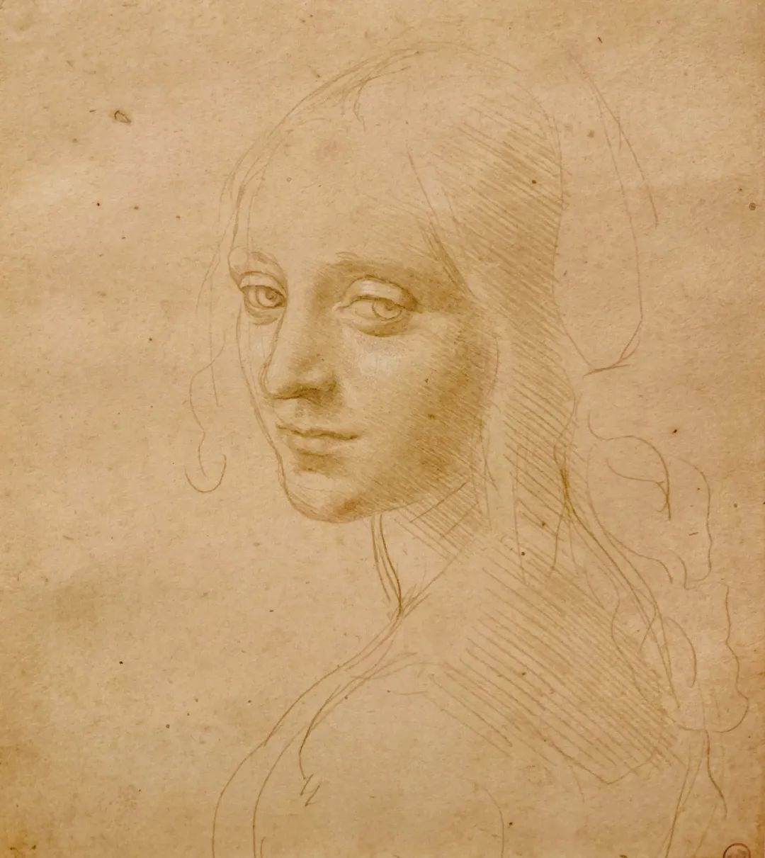 达芬奇先生,我觉得离你又近了一点点_手稿