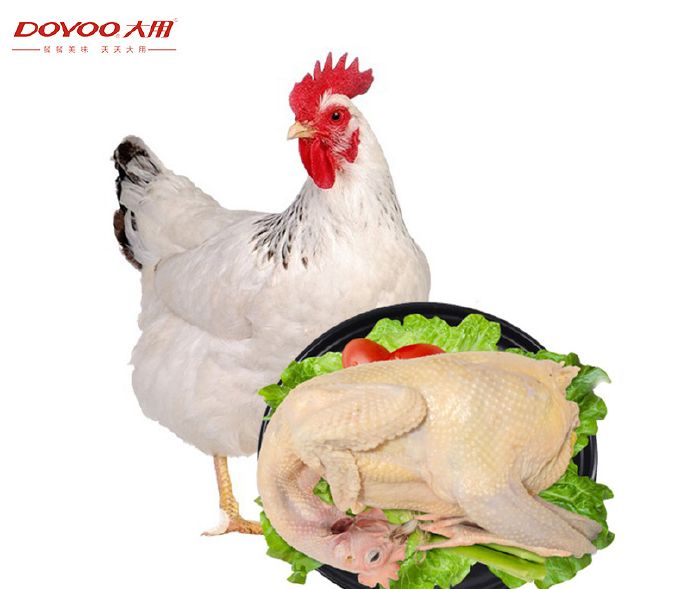 吃货团散养白羽鸡零激素添加农家走地散养新鲜健康营养到家