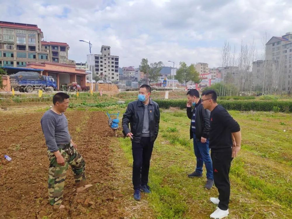【今日石屯•产业发展】镇党委书记曹斌深入田间地头调研指导春耕