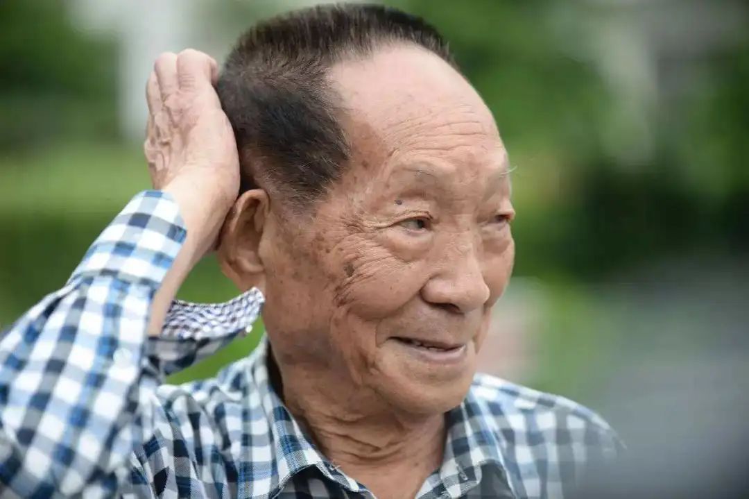水稻之父 来自搜狐网
