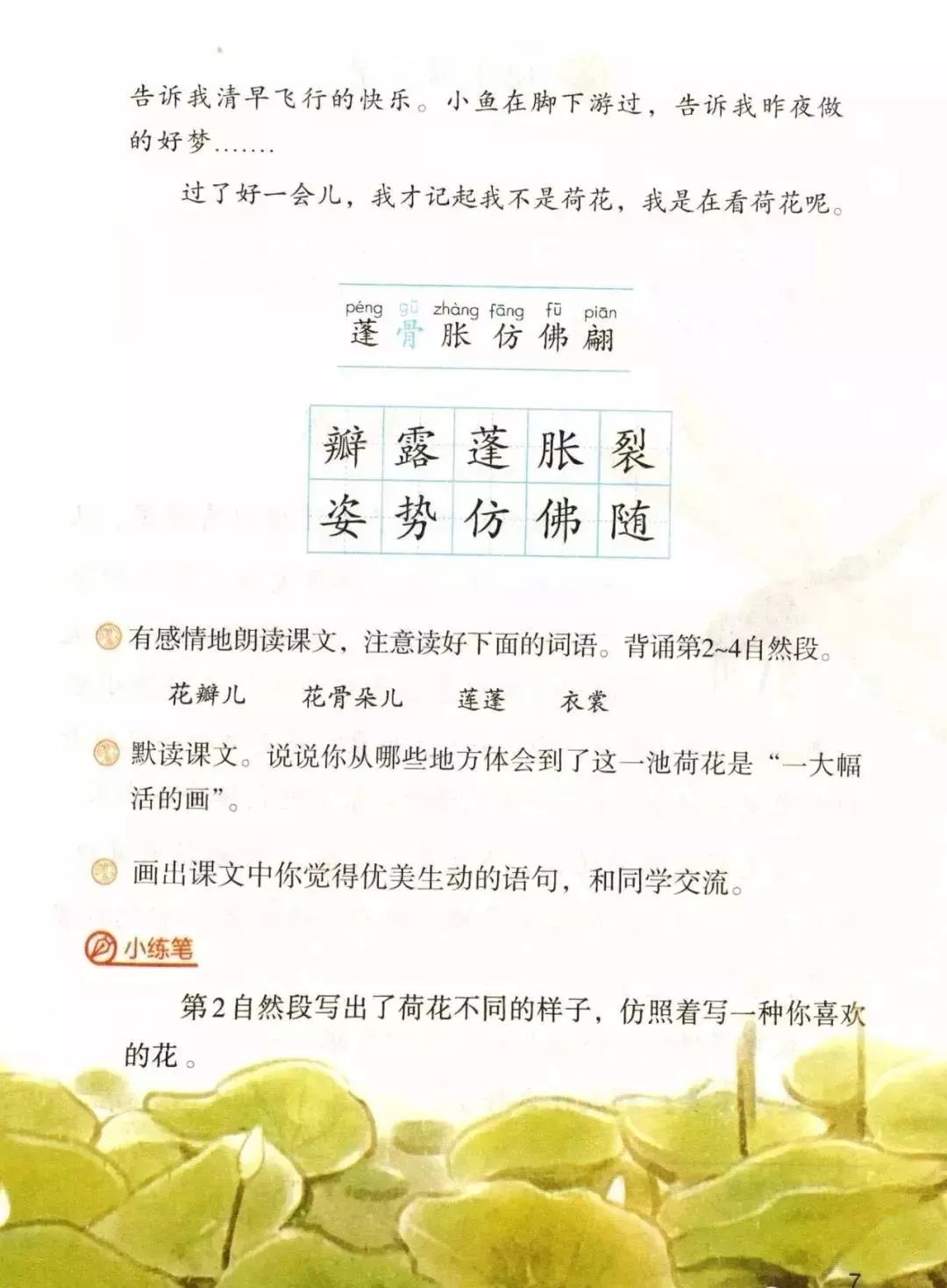 微课堂丨部编语文三年级(下)《荷花》教学视频,知识点,练习