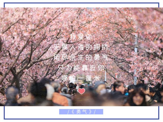 争不过朝夕 又念着往昔偷走了青丝却留住一个你 08 我爱你 无畏人海