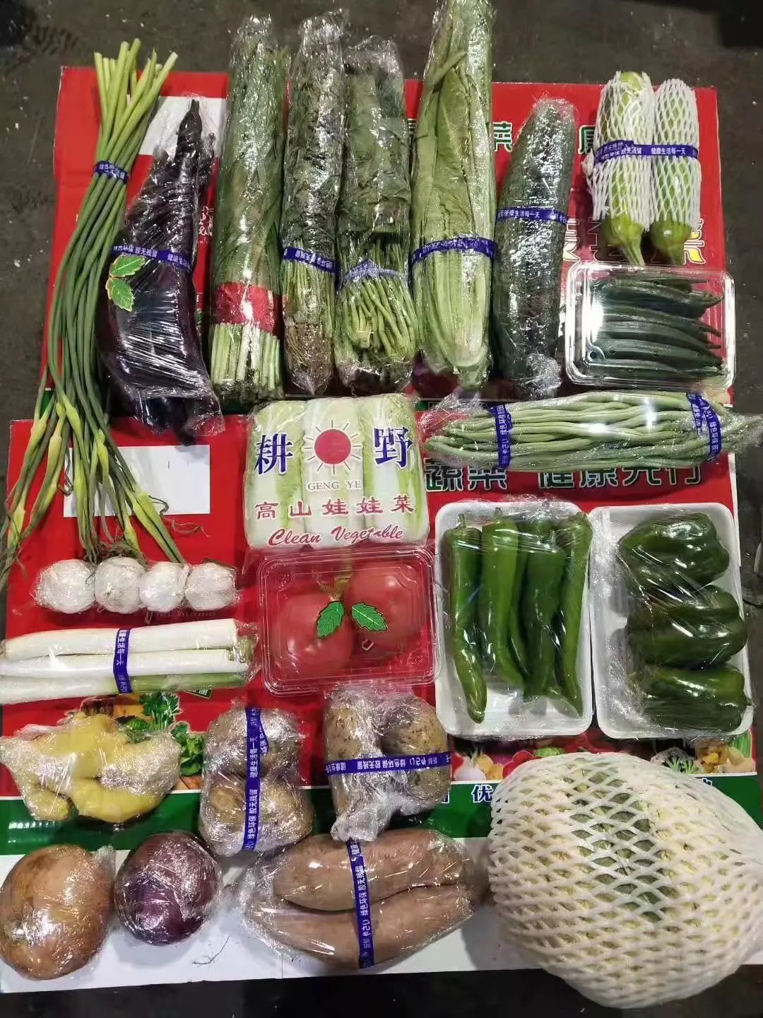 点这里,哈达放心新鲜蔬菜无忧配送到家!_蔬菜批发市场