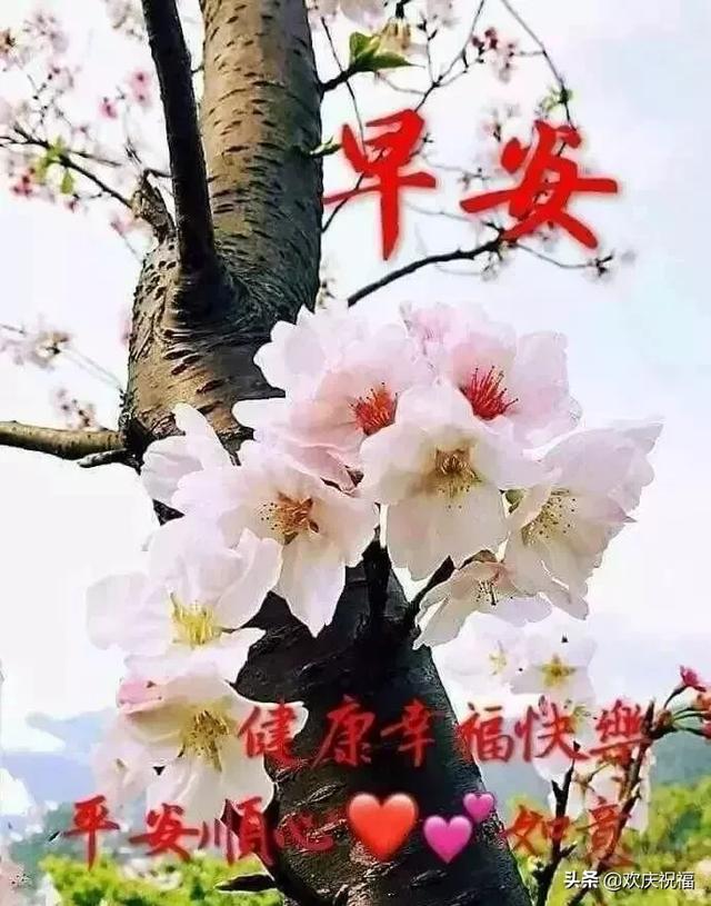 2月27日微信早上好问候祝福语唯美图片,早晨好问候祝福语短信