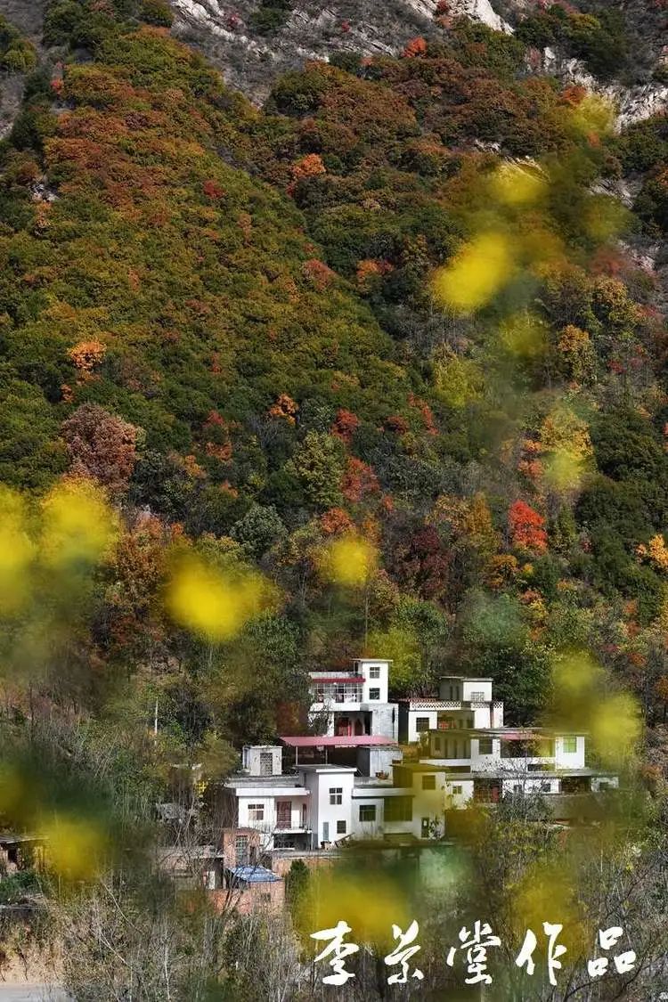 宅家游走进醉美汝阳岘山