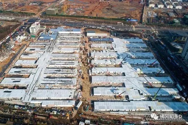 这个佛冈人年前去武汉卖砂糖桔遇封城干脆写好遗书当志愿者