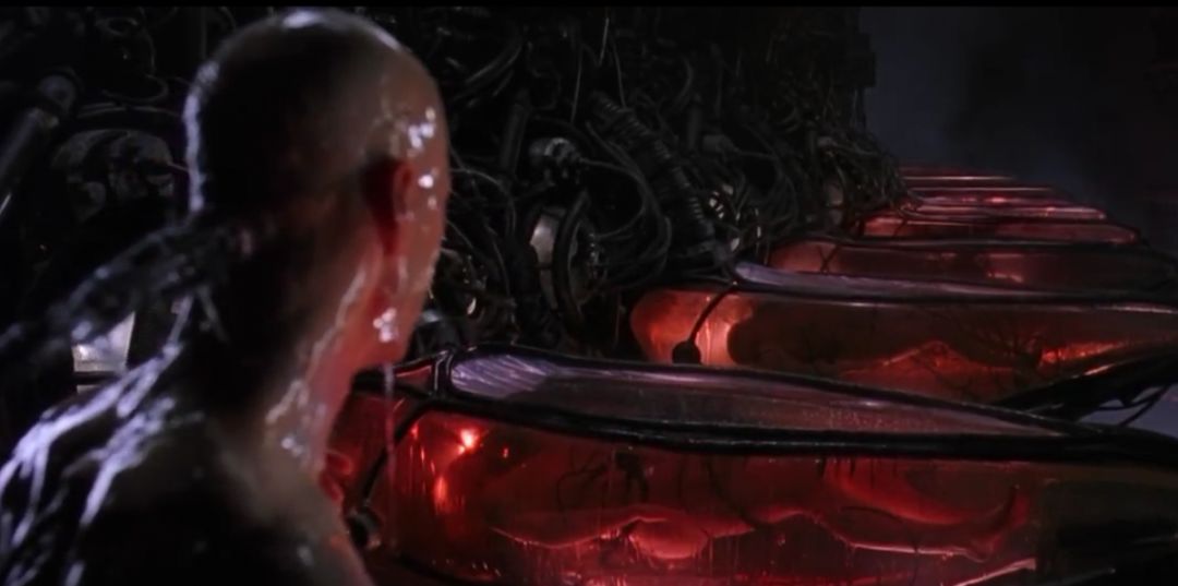 黑客帝国无知是幸还是不幸