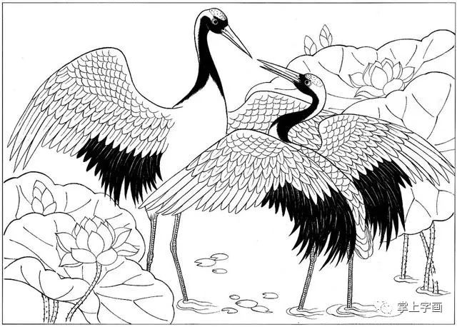 白描仙鹤高清图