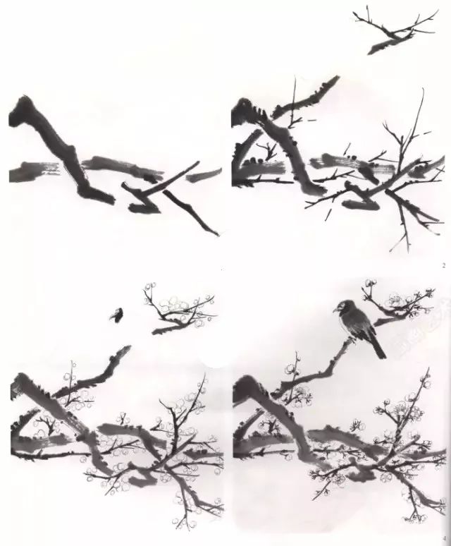 图文教程詹仁左老师小写意花鸟画法步骤
