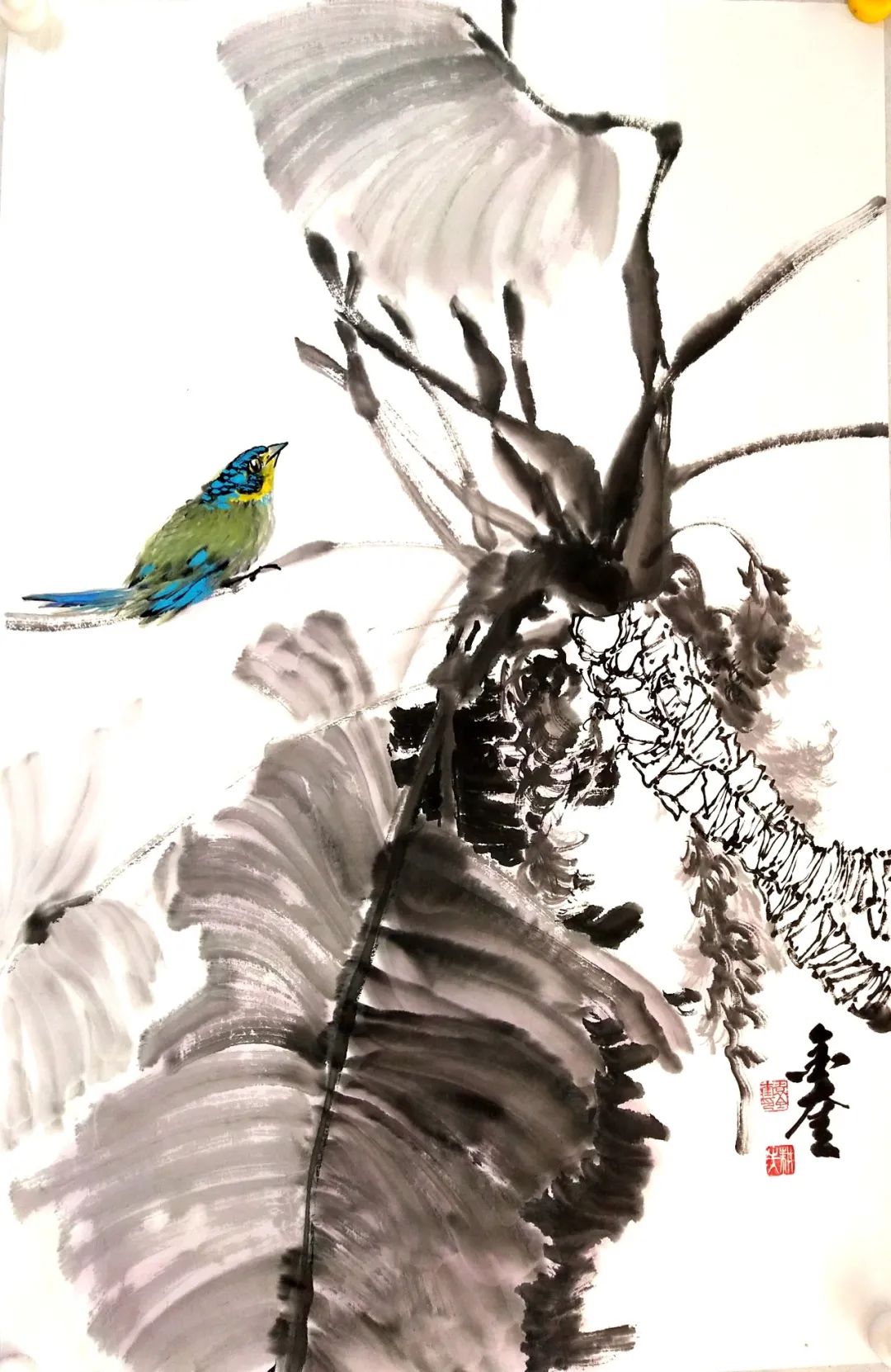 免费课袁金奎老师写意花鸟画3月3日