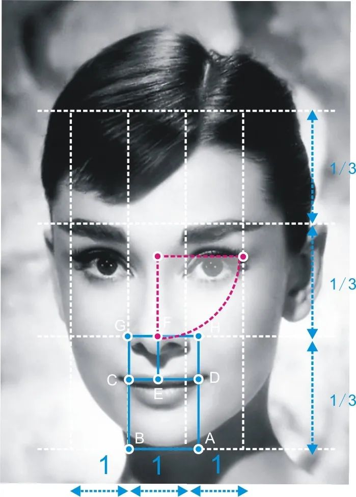 人脸黄金分割线构图图片