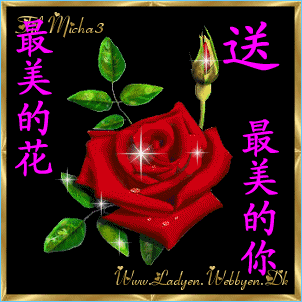 希望你在未来的日子里请收下我的祝福亲爱的朋友们一直相守在一个圈子