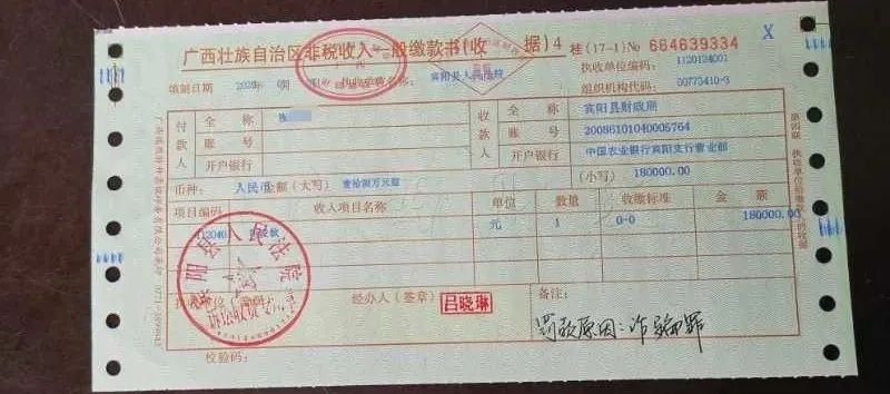 一起诈骗罪案件被执行人张某某的父亲,代其服刑的儿子将18万元罚金