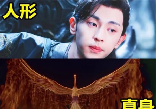 香蜜人形vs真身:旭凤是凤凰,锦觅是霜花,看到鎏英甘拜下风