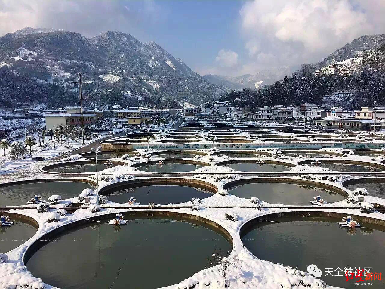 千岛湖鲟鱼养殖基地图片