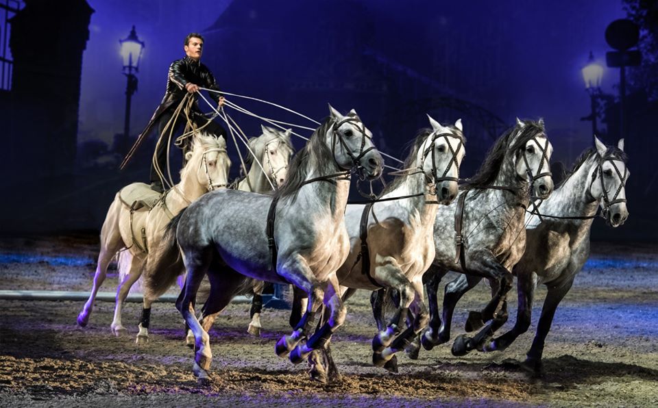 2020策马奔腾迎难而上