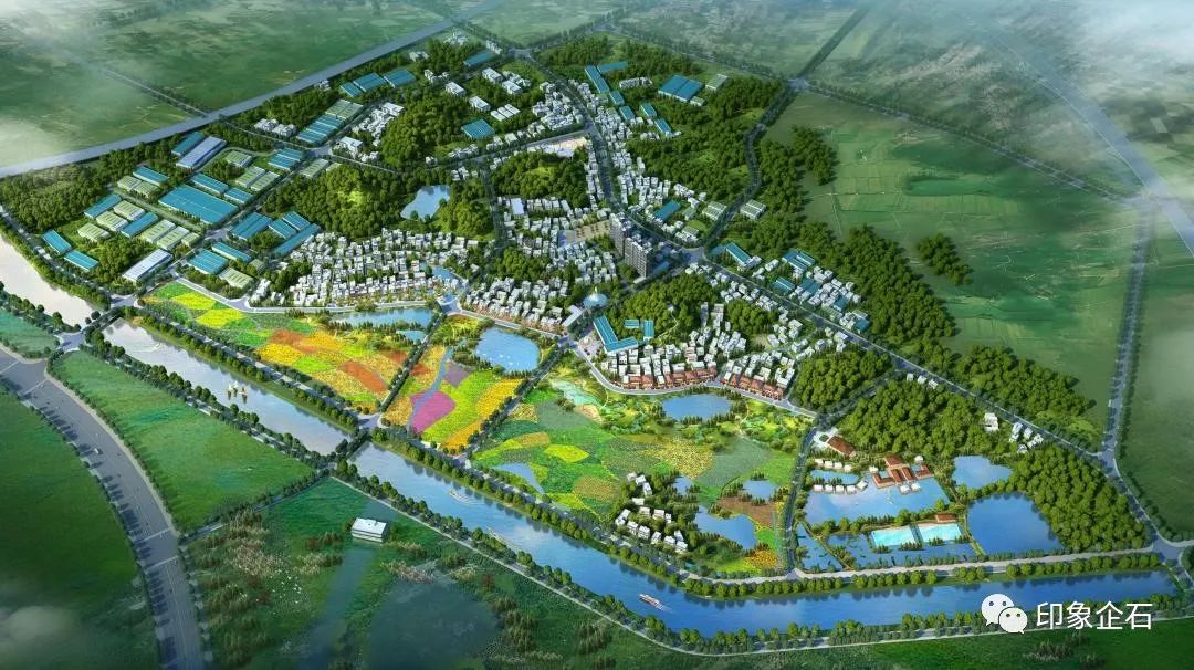 企石设立乡村振兴专项资金,推进美丽乡村建设!