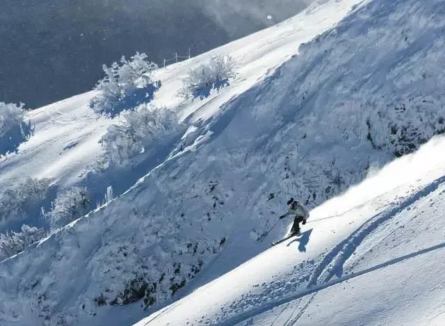 澳大利亚雪山滑雪图片