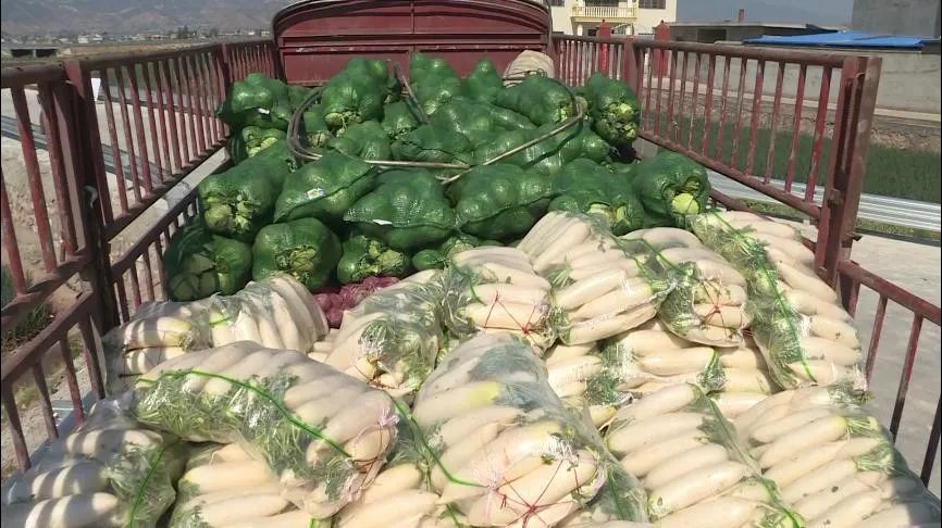 疫情牵动人心物资承载爱心与温暖营盘村村民向武汉捐赠蔬菜12吨