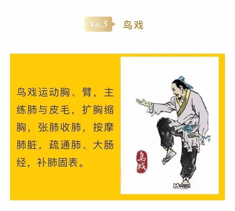 强五脏培内气调心情试试华佗五禽戏