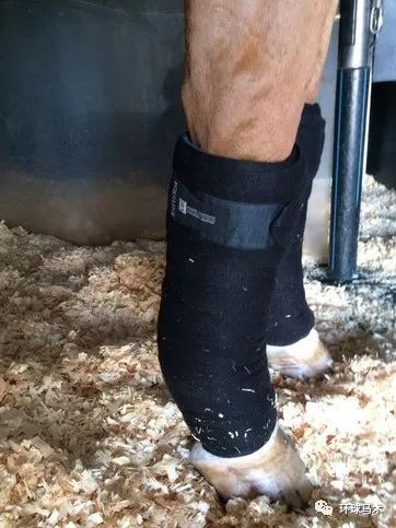 你也能成为马库斯61恩宁的头号马工之绷带篇