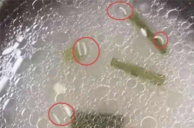 随后,园长在群里解释,中午的汤是薏米排骨海带汤,里面的虫是薏米虫.