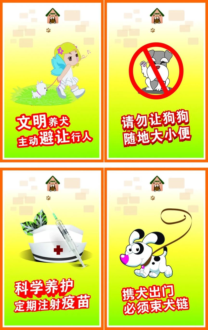文明养狗 点滴做起_狗狗