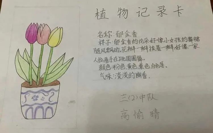 【丽景61空中课堂】停课不停学 努力不停歇——唐