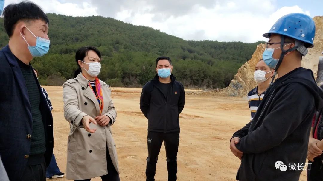 副县长廖凤英,县林业局,卫健局,重点办,晋江(长汀)工业园区等单位负