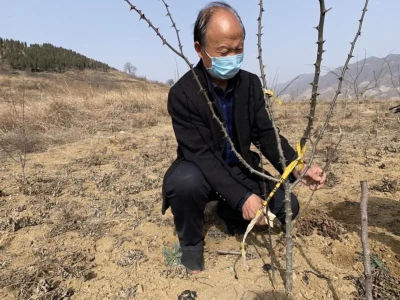 巩义市涉村镇名人图片