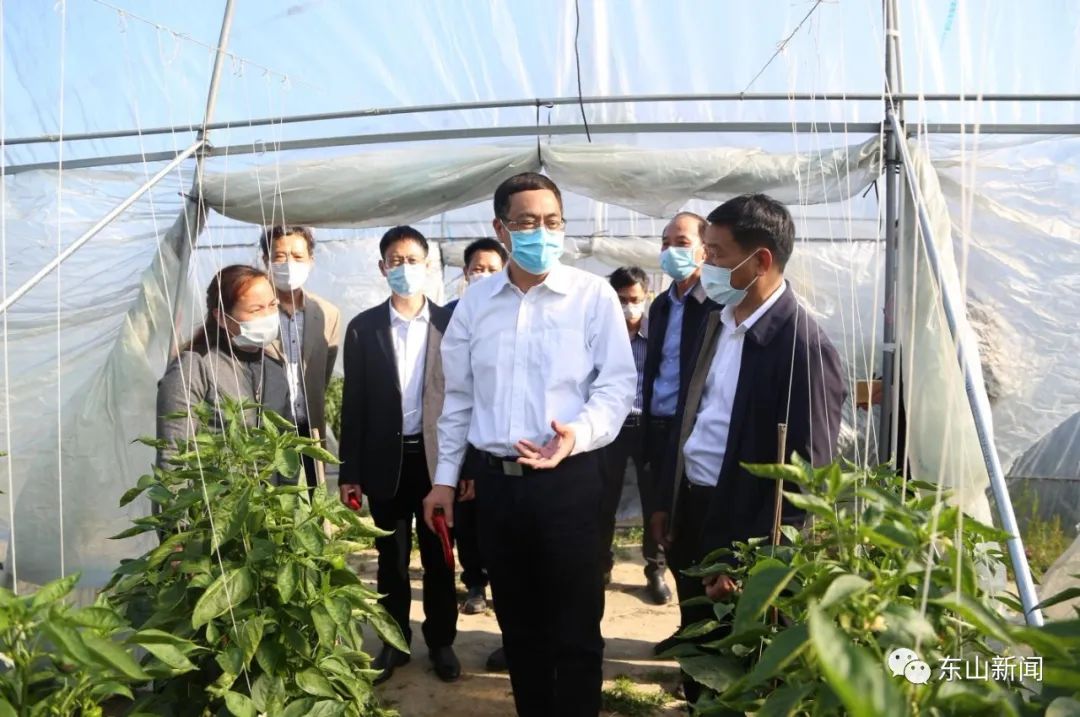 2月26日下午,县长黄键鹏带领相关部门人员深入陈城镇绿秋蔬菜种植家庭