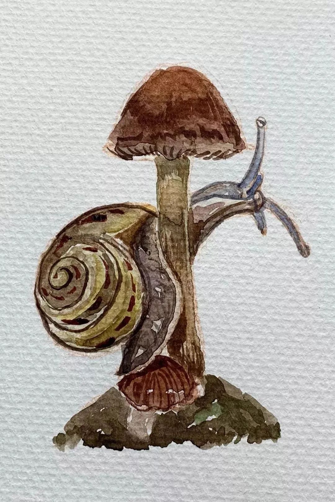 教程丨水彩动物蜗牛