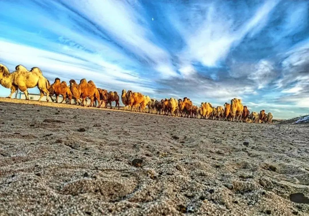 美图这样的阿拉善大戈壁你可喜欢