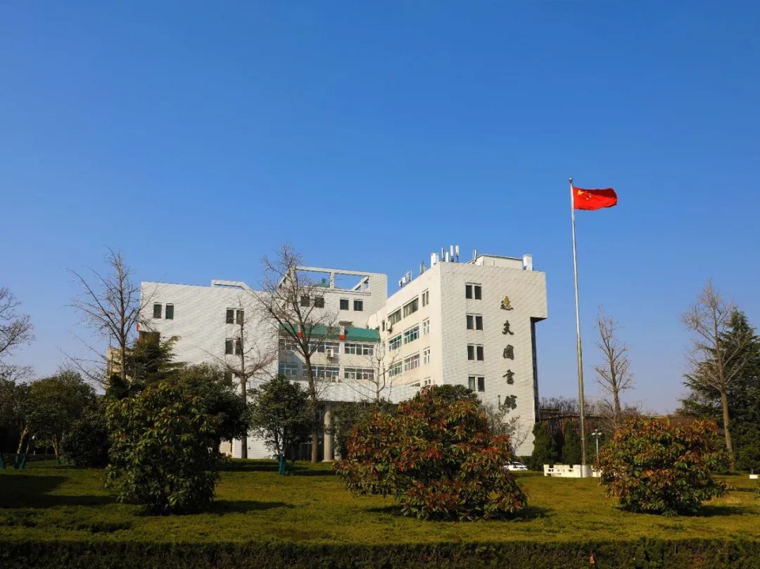 河大想你想见你