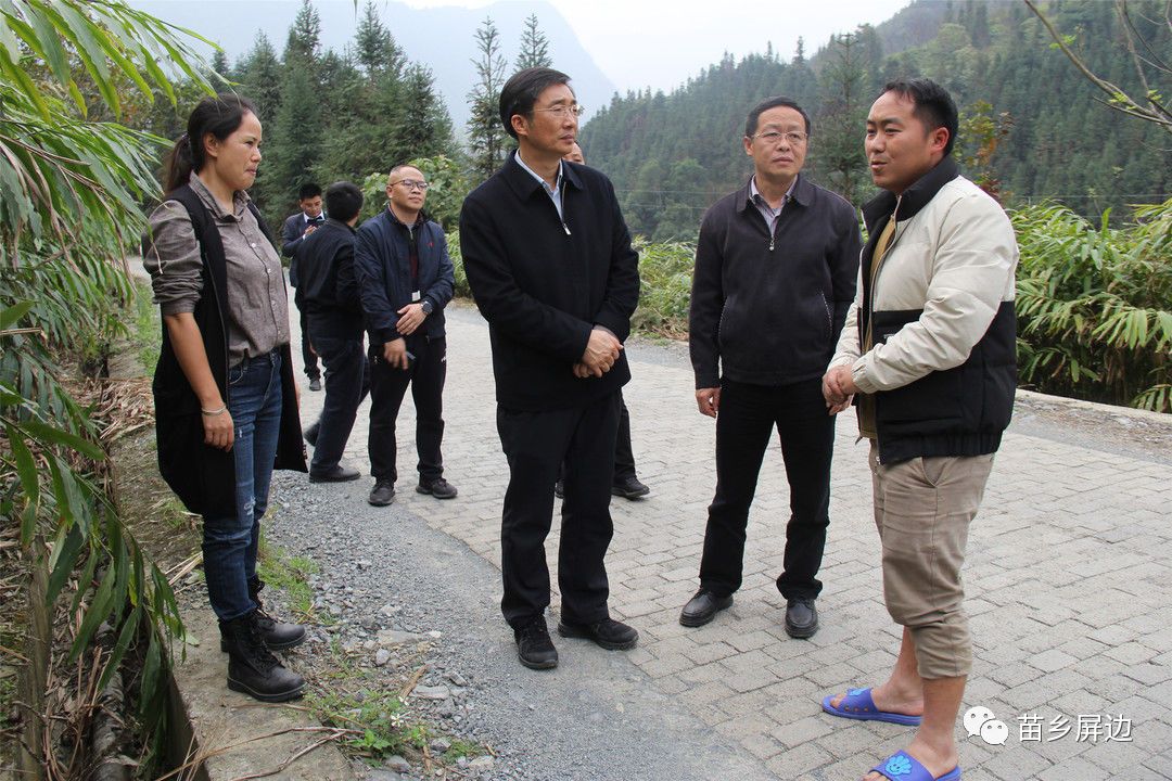 盛高举到屏边县调研脱贫攻坚工作
