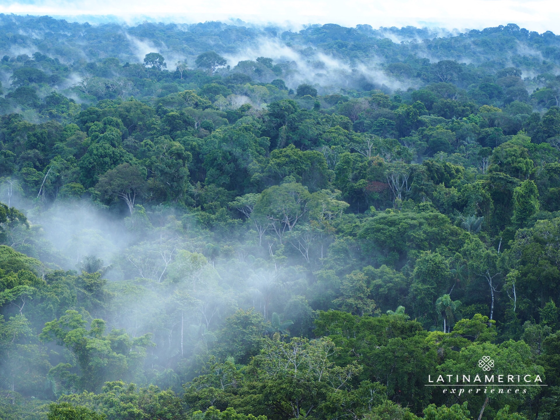 亚马逊雨林厄瓜多尔的五大景观