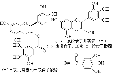 首先,茶水含有最大量的是多酚类物质,以儿茶素为主,儿茶素就是我们