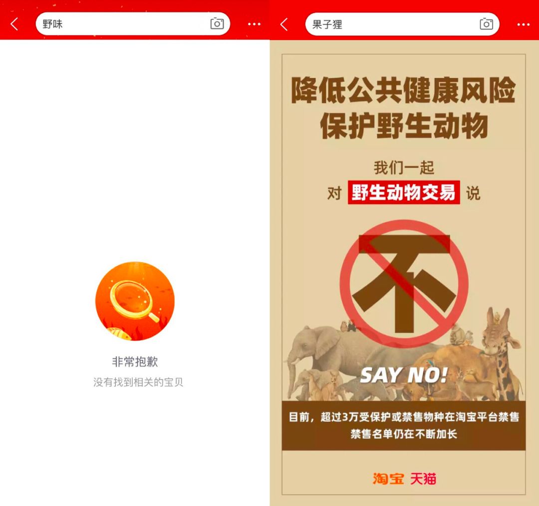 下线9千家店铺终于我国全面禁止非法野生动物交易