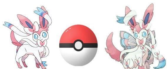 太阳精灵(水伊布)4,月精灵(水伊布)3,雷精灵(水伊布)2,火精灵(水伊布)