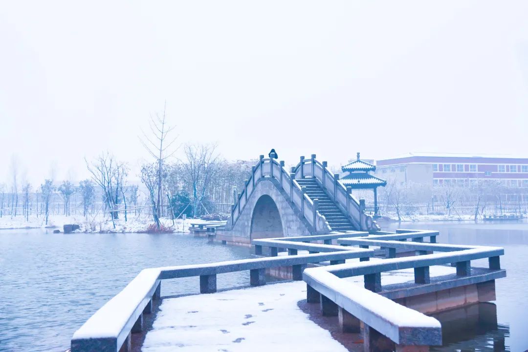 雪化了没有不信你来看肥乡