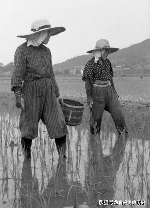 原创老照片50年代初的日本终于不再折腾了