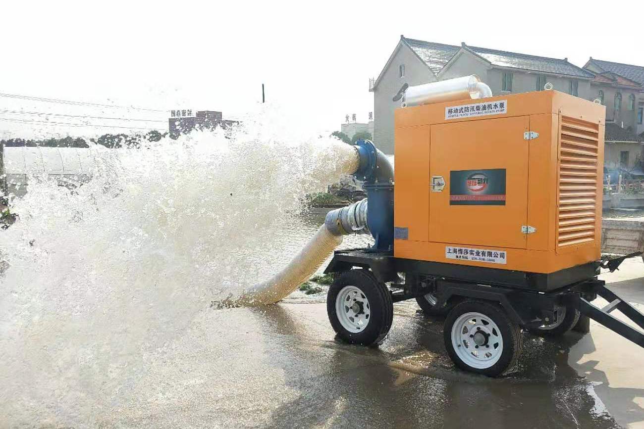 防汛排涝移动水泵的个人展示页