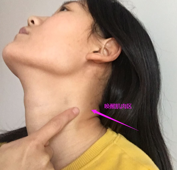 女人仰脖子喉管高图片图片