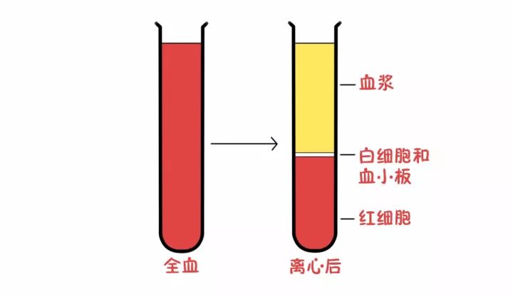 献特免血浆是利用全自动血细胞分离机,经离心机分离,采集人体血液中的